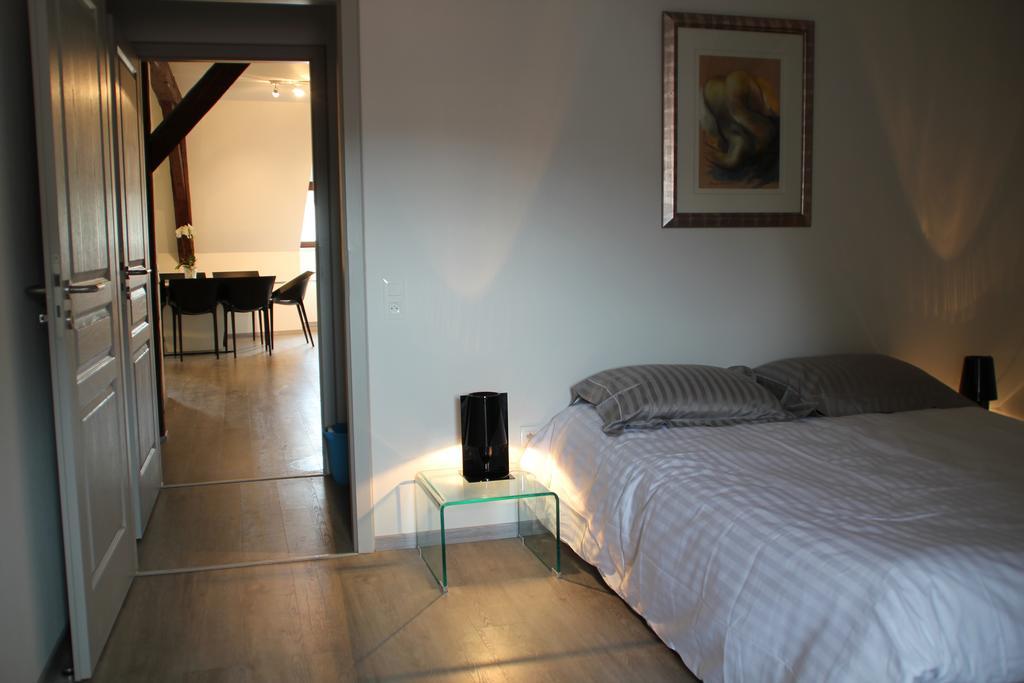 A L'ill - Apparts&Studios Strasbourg Hyper Centre Habitación foto