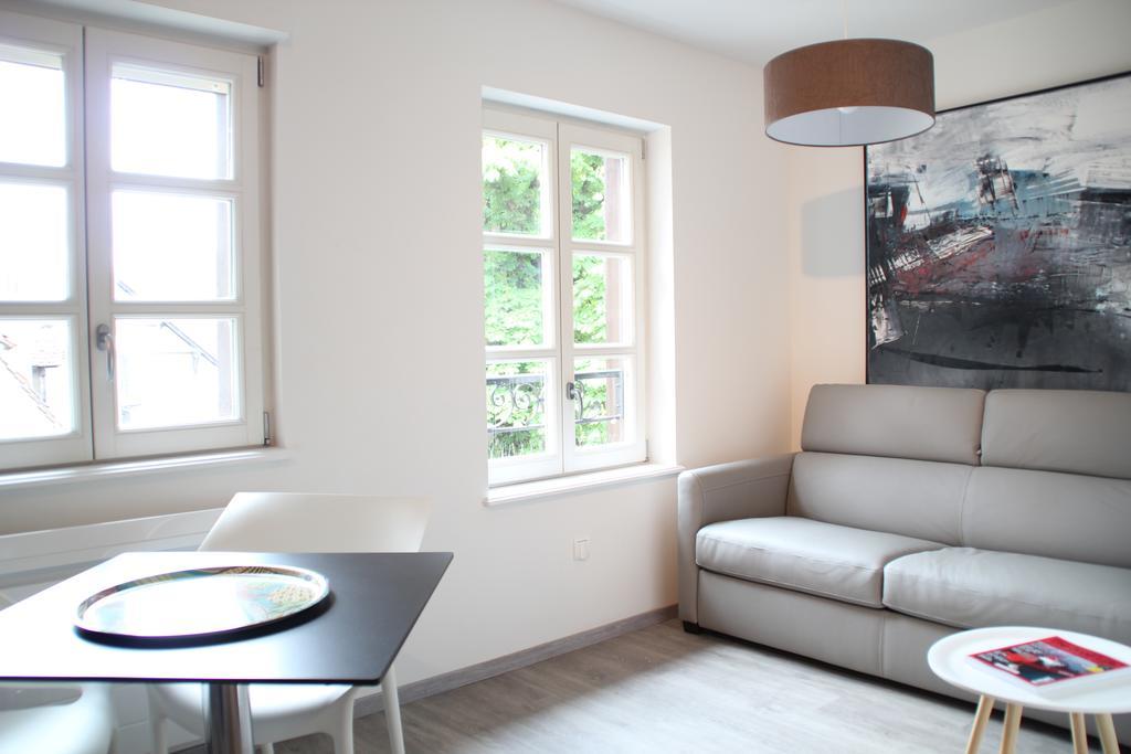 A L'ill - Apparts&Studios Strasbourg Hyper Centre Habitación foto